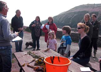 Bruce MacDonald - Foraging